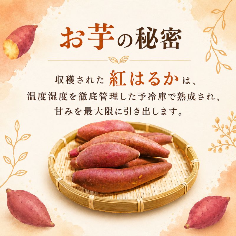 【高知県産紅はるか使用】焼き芋 ケーキ【4個/8個から選択可】
