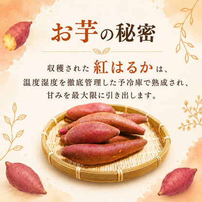 【高知県産紅はるか使用】焼き芋 ケーキ【4個/8個から選択可】