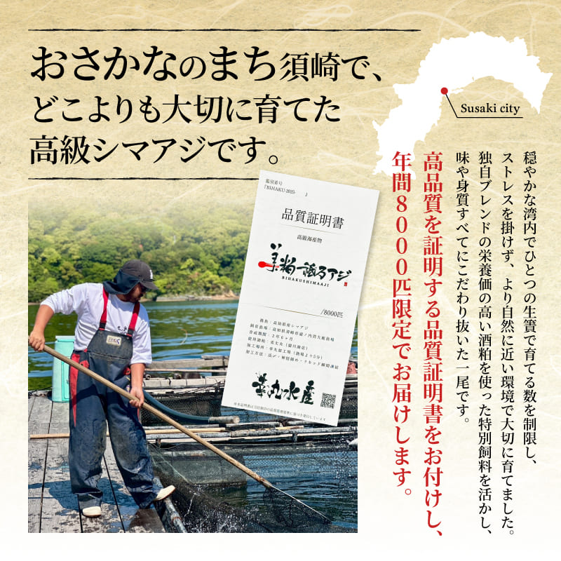 【高級魚】美粕祇万アジ（シマアジ）