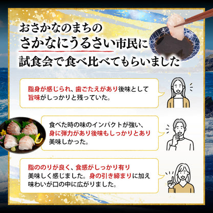 【高級魚】美粕祇万アジ（シマアジ）