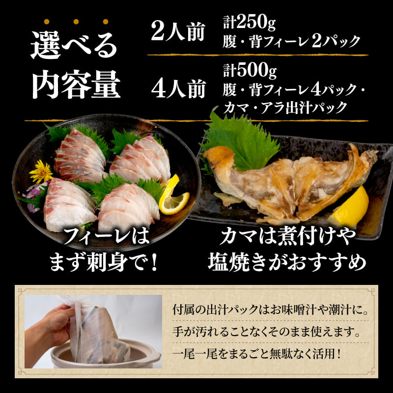 【高級魚】美粕祇万アジ（シマアジ）