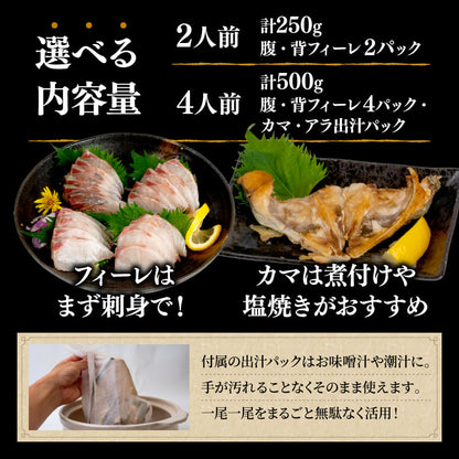 【高級魚】美粕祇万アジ（シマアジ）