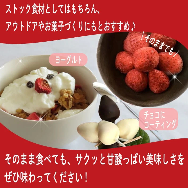 朝どれ完熟いちご使用】フリーズドライいちご【1月上旬より順次発送
