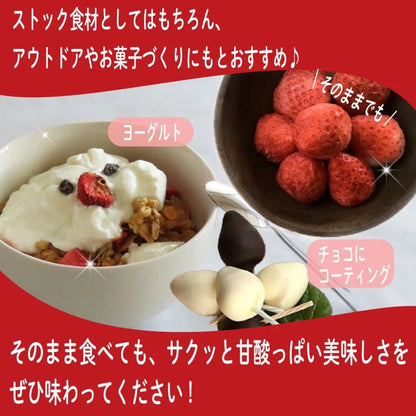 【朝どれ完熟いちご使用】フリーズドライいちご【1月上旬より順次発送】