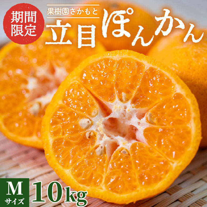 【今季終了】【贈答用】立目ぽんかん（低しょう系）Mサイズ 10kg【果樹園さかもと】【2月16日販売終了】