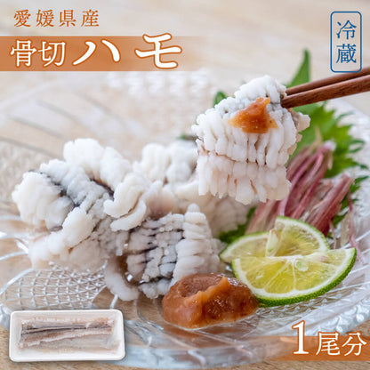 【６〜９月限定】愛媛県産・骨切ハモ　１尾分【鮮魚】