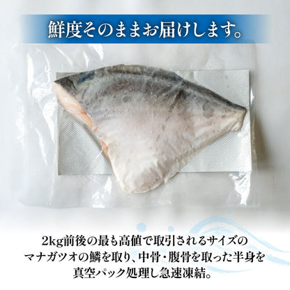 瀬戸内海の超高級魚 マナガツオ 半身フィーレ