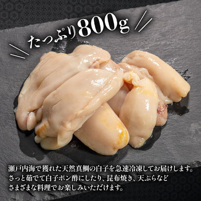 【限定14パック】瀬戸内海産・天然真鯛の白子　約800g