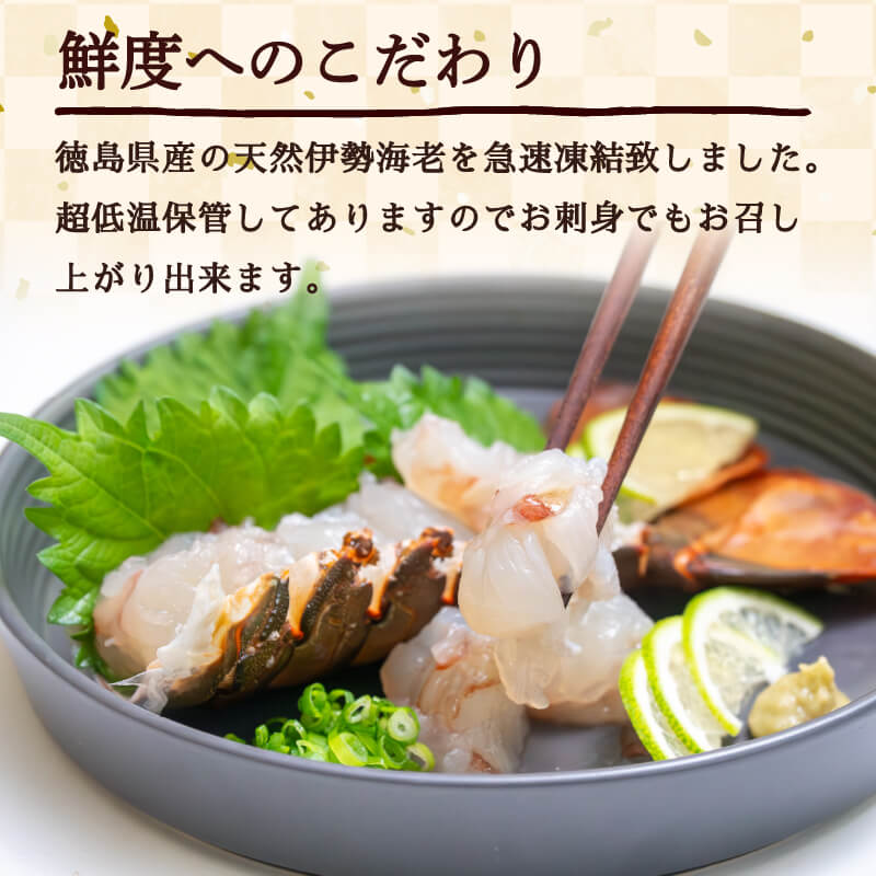 天然伊勢海老(徳島県産）訳あり 2〜4尾　約600g