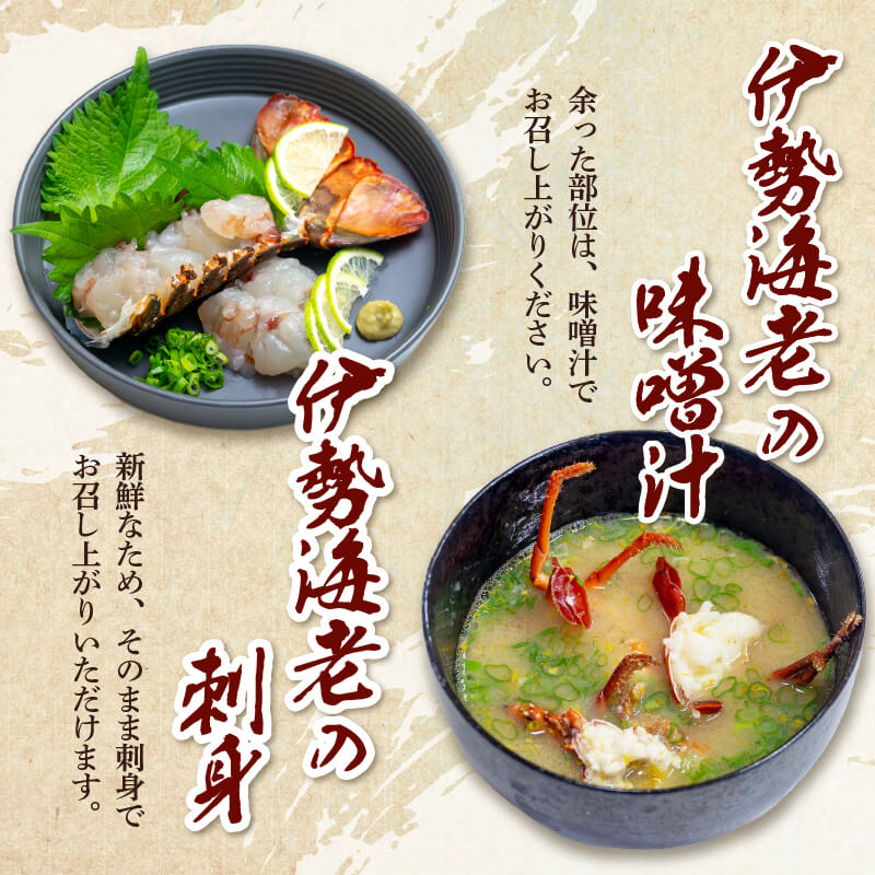 天然伊勢海老(徳島県産）訳あり 2〜4尾　約600g