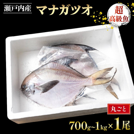 冷凍マナガツオ真空パック