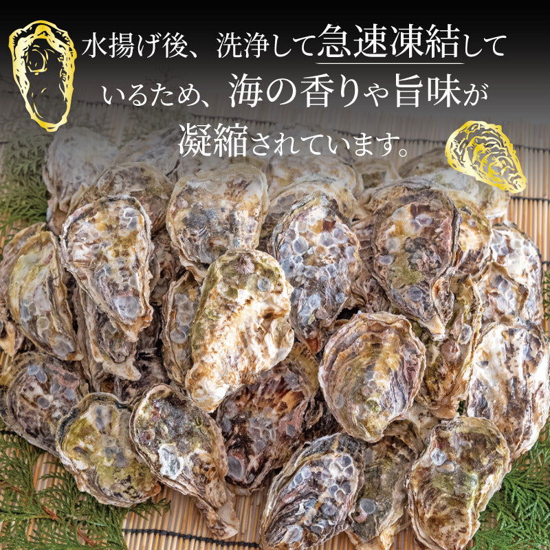 岡山県産 冷凍殻付きカキ 5kg