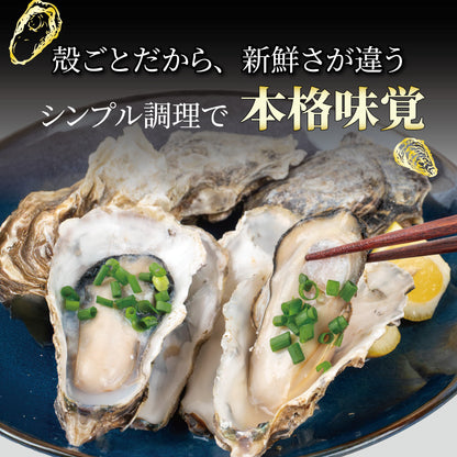岡山県産 冷凍殻付きカキ 5kg