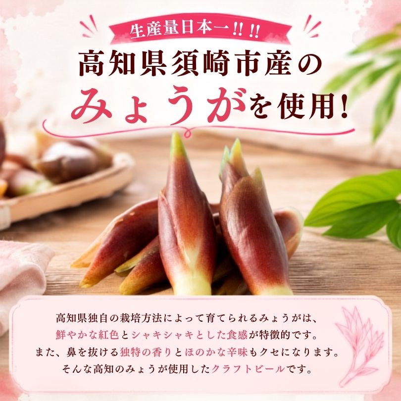 【高知県産みょうが使用】みょうがPINKエール【6本～24本まで選択可】