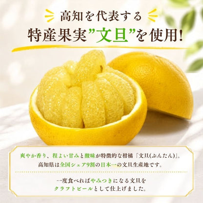 【高知県産文旦・はちみつ使用】文旦はちみつエール【6本～24本まで選択可】