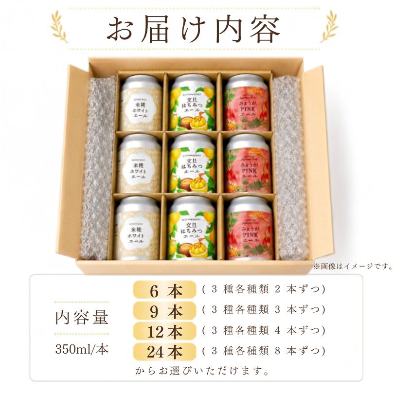 【クラフトビール】3種飲み比べセット【6本～24本まで選択可】