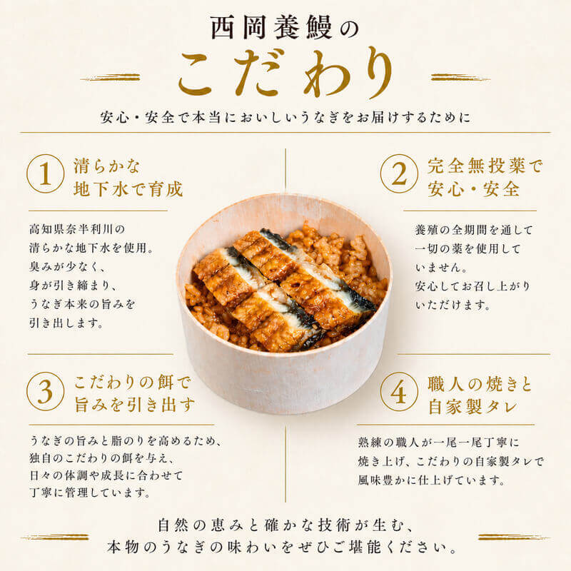 レンジで簡単・本格ウナギ飯】 土佐西岡養鰻のウナギわっぱ飯【高知県