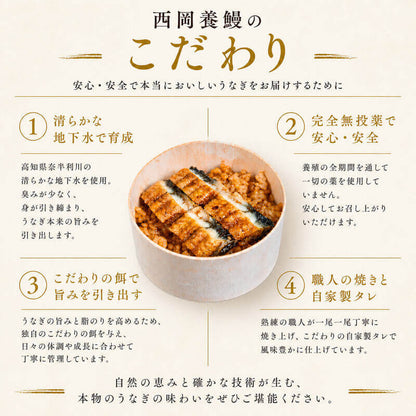 【レンジで簡単・本格うなぎ飯】 土佐西岡養鰻のうなぎわっぱ飯【高知県田野町産】