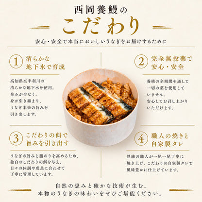 【レンジで簡単・本格】うなぎわっぱ飯3個＋鰹のわら焼きタタキ2節セット【贅沢セット】