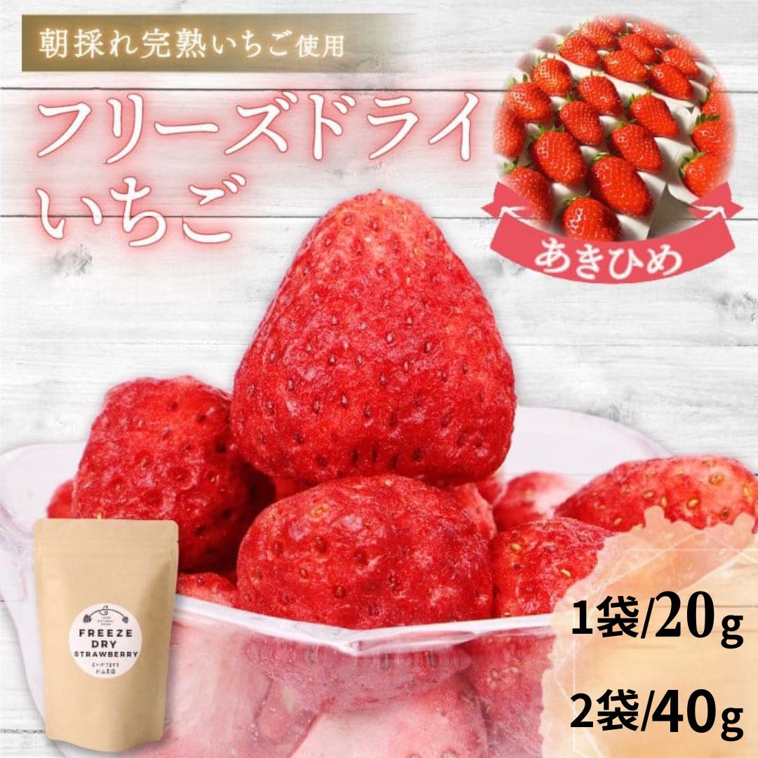 【朝どれ完熟いちご使用】フリーズドライいちご【1月上旬より順次発送】
