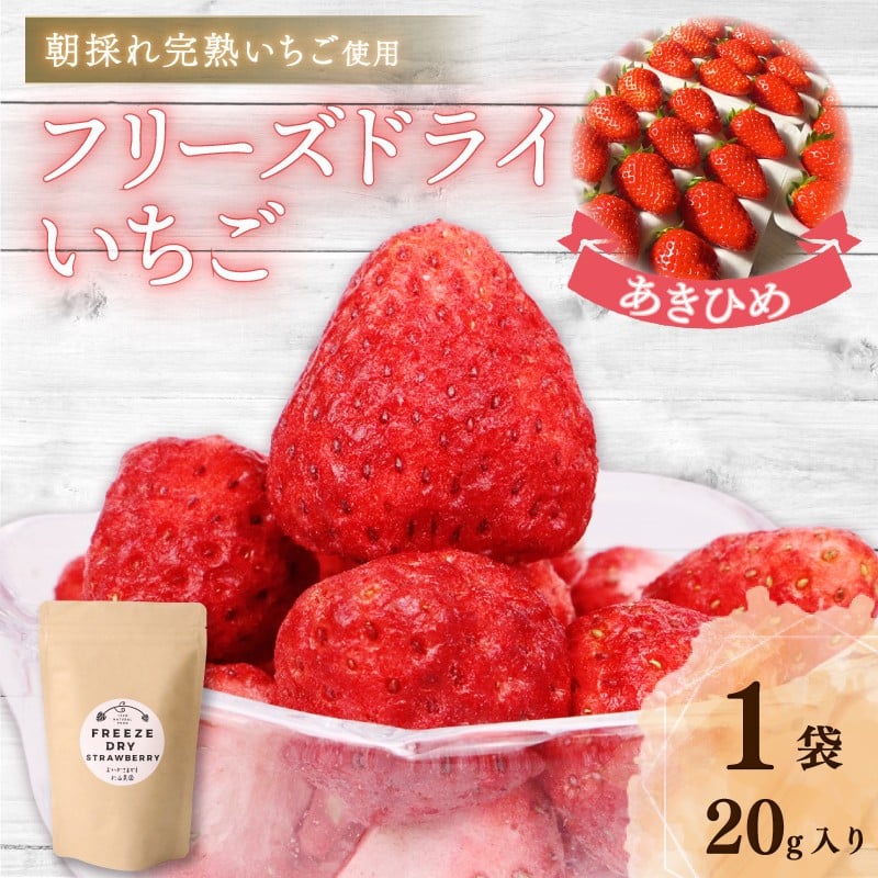 【朝どれ完熟いちご使用】フリーズドライいちご【1月上旬より順次発送】