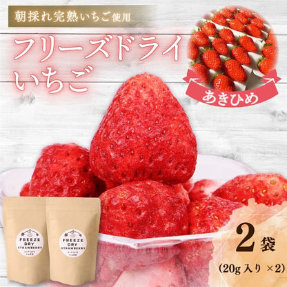 【朝どれ完熟いちご使用】フリーズドライいちご【1月上旬より順次発送】