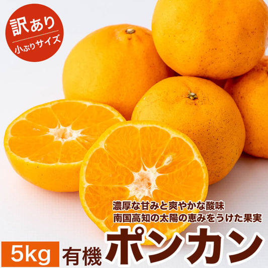 甘くておいしい有機ポンカン　訳あり5kg【高知県須崎市・田條園】【柑橘】