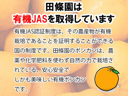 甘くておいしい有機ポンカン　訳あり5kg【高知県須崎市・田條園】【柑橘】