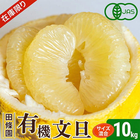 【20セット限定】有機 土佐文旦（ぶんたん）訳あり 良品 10kg 【有機JAS認定・田條園】