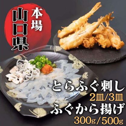 【魚千代】ふぐ刺し＆ふぐから揚げセット（とらふぐ刺身2皿～3皿・しろさばふぐから揚げ用300g～500g）