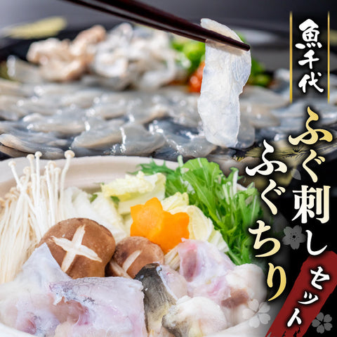 【魚千代】ふぐ刺し＆ふぐちりセット（とらふぐ刺身3枚・とらふぐあら＆まふぐちり用500g）