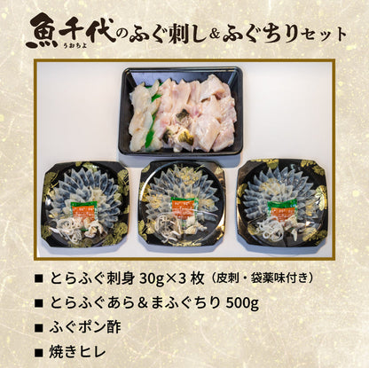 【魚千代】ふぐ刺し＆ふぐちりセット（とらふぐ刺身3枚・とらふぐあら＆まふぐちり用500g）