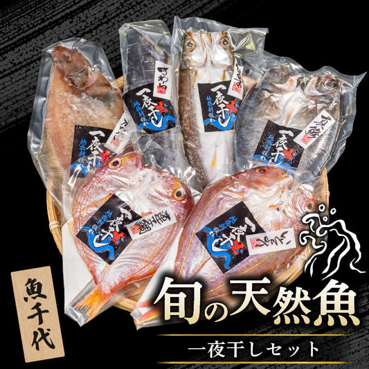 【魚千代】絶品！旬の鮮魚一夜干しセット
