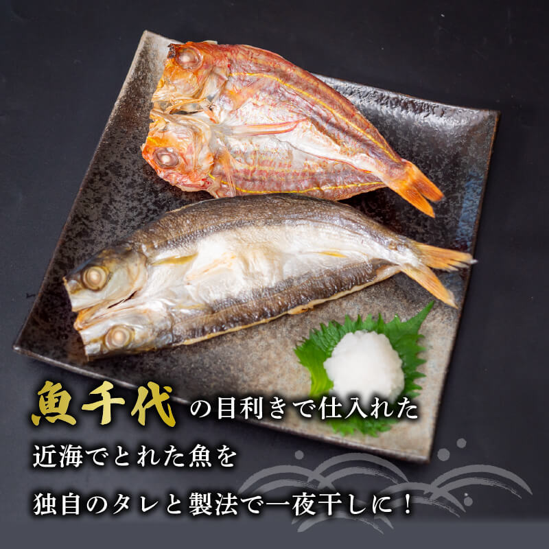 【魚千代】絶品！旬の鮮魚一夜干しセット