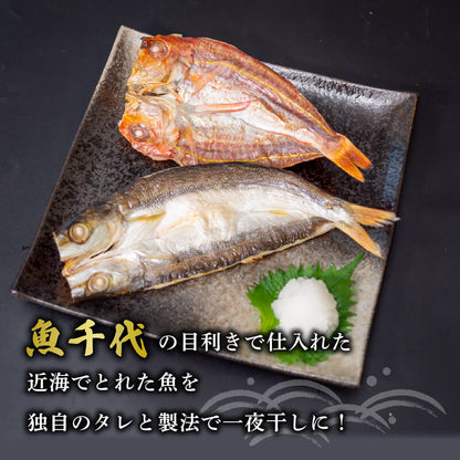 【魚千代】絶品！旬の鮮魚一夜干しセット
