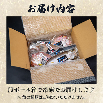 【魚千代】絶品！旬の鮮魚一夜干しセット