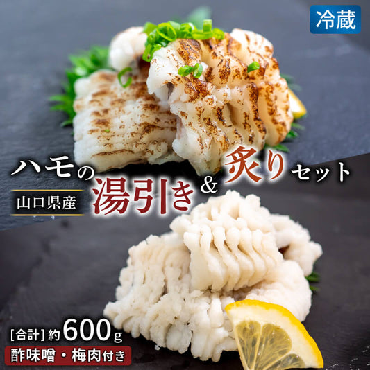 【魚千代】山口産はも湯引き＆炙りセット 約600g