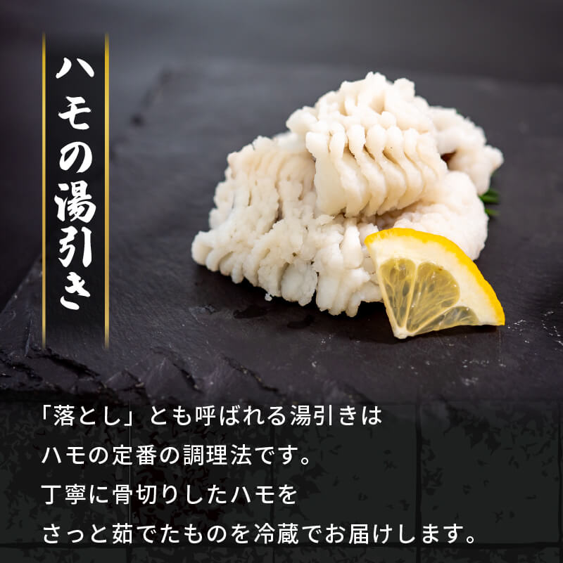 【魚千代】山口産はも湯引き＆炙りセット 約600g