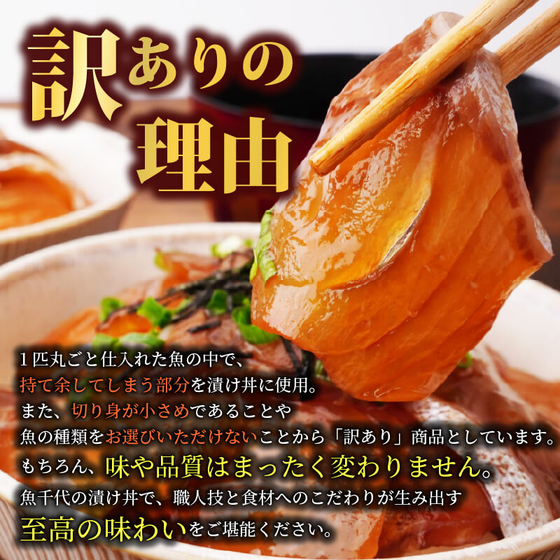 訳あり 魚千代の漬け丼セット 5種各1パック