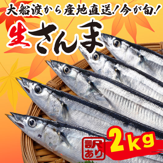 【大船渡から直送】生さんま 訳あり約2kg【支援額300円】