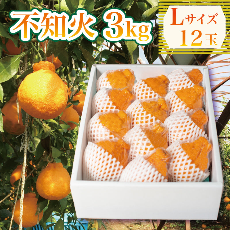 徳島県産】不知火 3kg L～5Lサイズ – 高知かわうそ市場