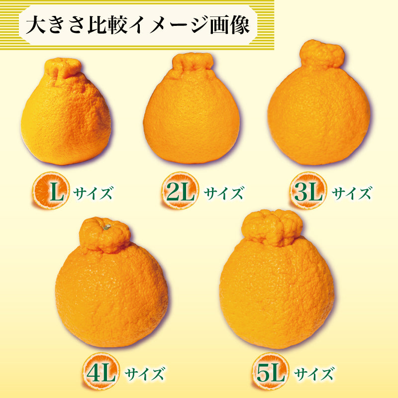 【スマイル】M玉不知火4Kg+ブス不知火6Kg+伊予柑4Kg　同梱発送 5148vK-E8PL._AC_SY200_QL15_.jpg