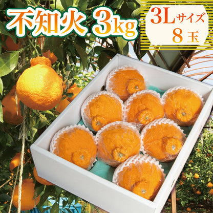 【3月下旬より順次発送】しらぬい 3kg 3Lサイズ（8玉入り）
