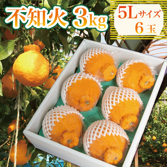 【3月下旬より順次発送】しらぬい 3kg 5Lサイズ（6玉入り）