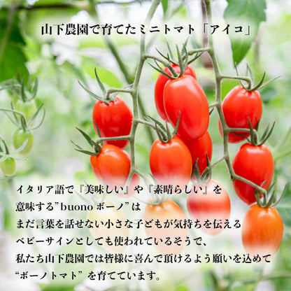 徳島県・阿波市産 ボーノトマト 4kg【山下農園】