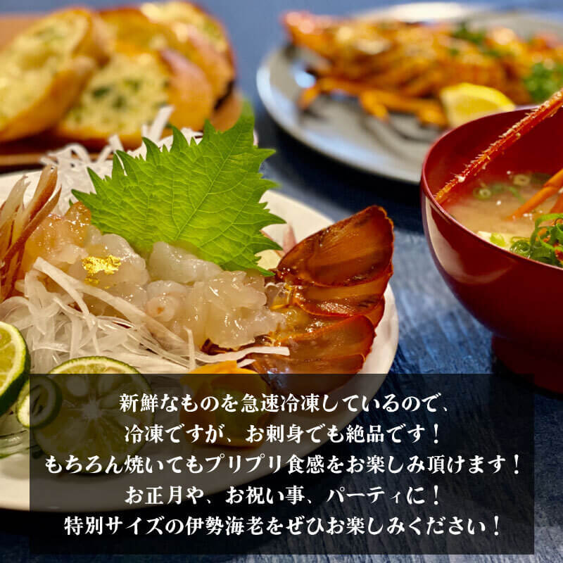 冷凍伊勢海老巨大！1尾1kg送料込 伊勢海老-特大】1kgオーバーの大きすぎるサイズ単品！ | 由岐