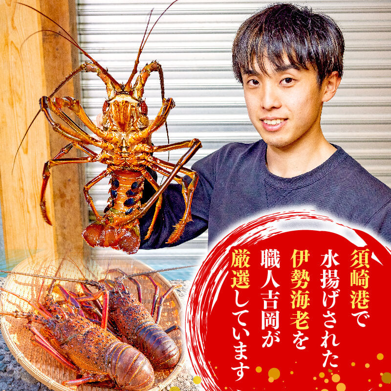 コロナショックで大値下げ！伊勢海老！！400g以下1キロ送料込み！！ 活〆伊勢海老（冷凍加熱用）小サイズ 1尾 120～160g [冷凍伊勢