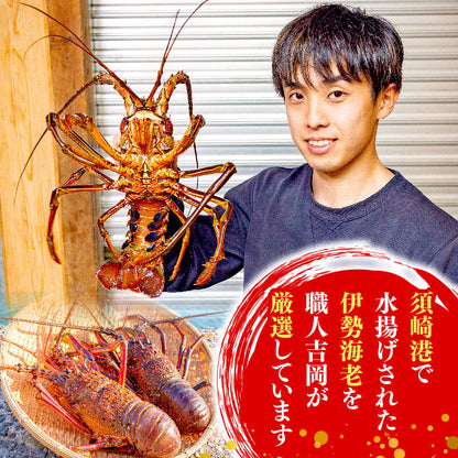 【訳あり】職人吉岡の冷凍伊勢海老1.4キロ　(2〜7尾)