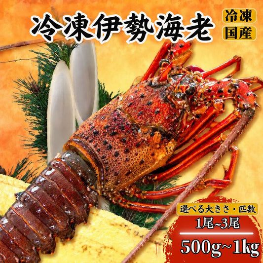 【大きさ・匹数を選べる】冷凍伊勢海老【500g～1kg/1尾～3尾まで選択可】